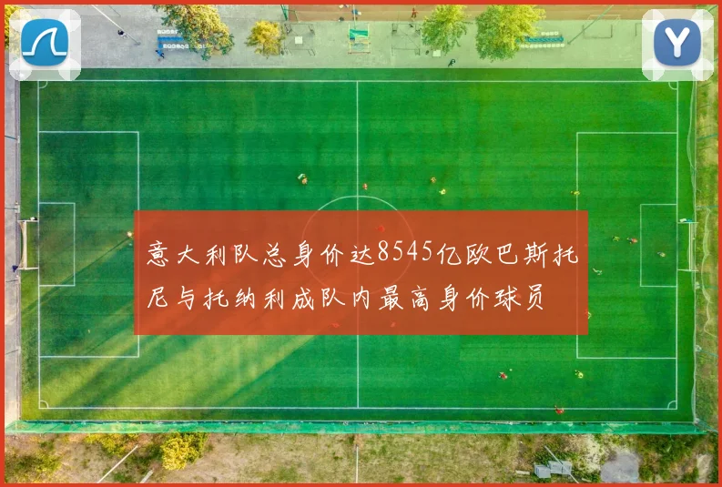 意大利队总身价达8545亿欧巴斯托尼与托纳利成队内最高身价球员