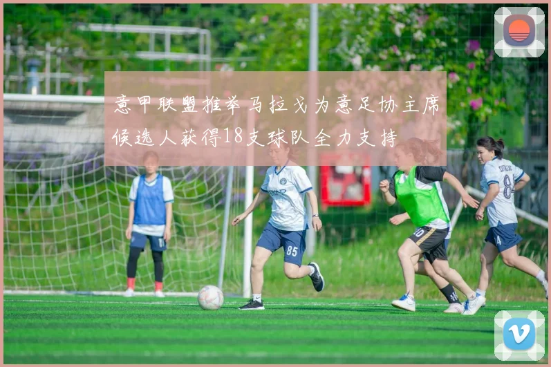 意甲联盟推举马拉戈为意足协主席候选人获得18支球队全力支持
