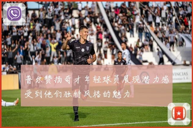 普尔赞扬奇才年轻球员展现潜力感受到他们独特风格的魅力