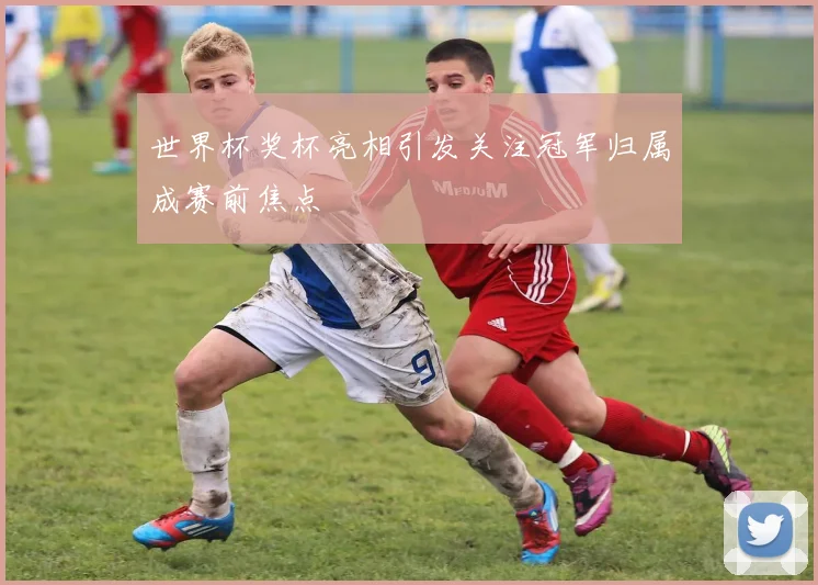 世界杯奖杯亮相引发关注冠军归属成赛前焦点