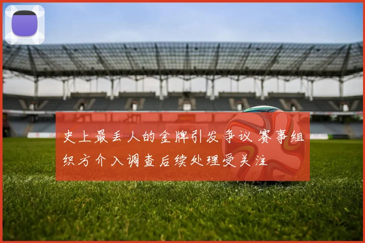 史上最丢人的金牌引发争议 赛事组织方介入调查后续处理受关注