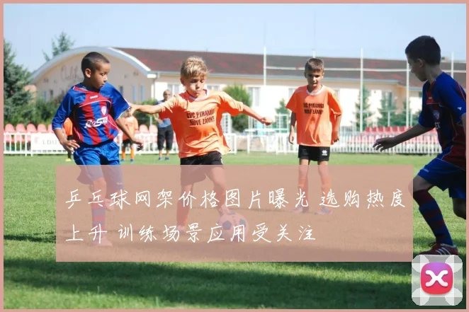 乒乓球网架价格图片曝光 选购热度上升 训练场景应用受关注