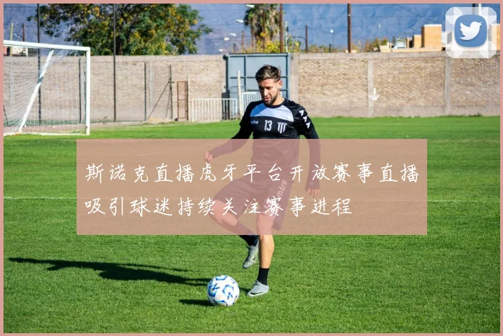 斯诺克直播虎牙平台开放赛事直播吸引球迷持续关注赛事进程