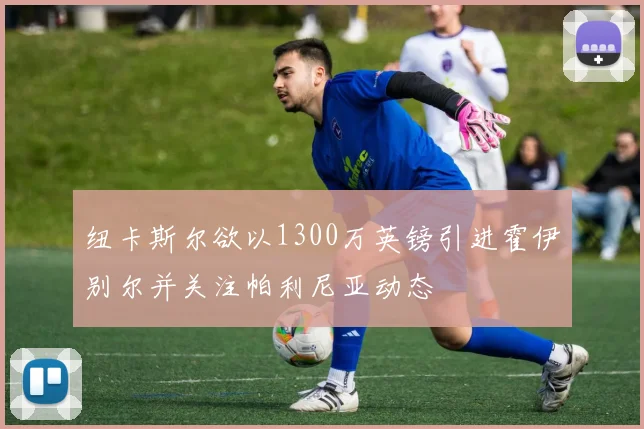 纽卡斯尔欲以1300万英镑引进霍伊别尔并关注帕利尼亚动态