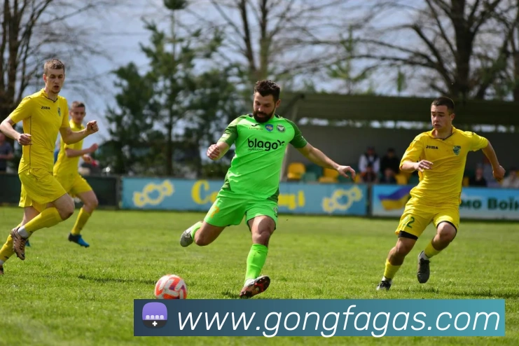 九游体育app官网登录入口品牌故事