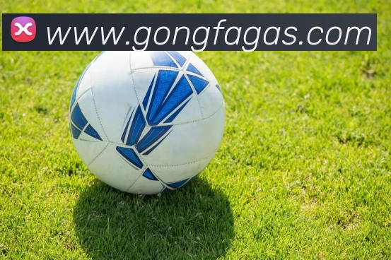 九游体育app官网登录入口服务体系